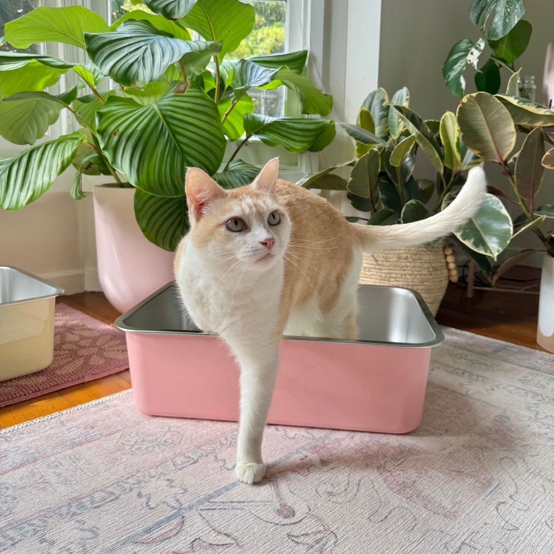 Stainless Steel Litter Tray - Soft Pink