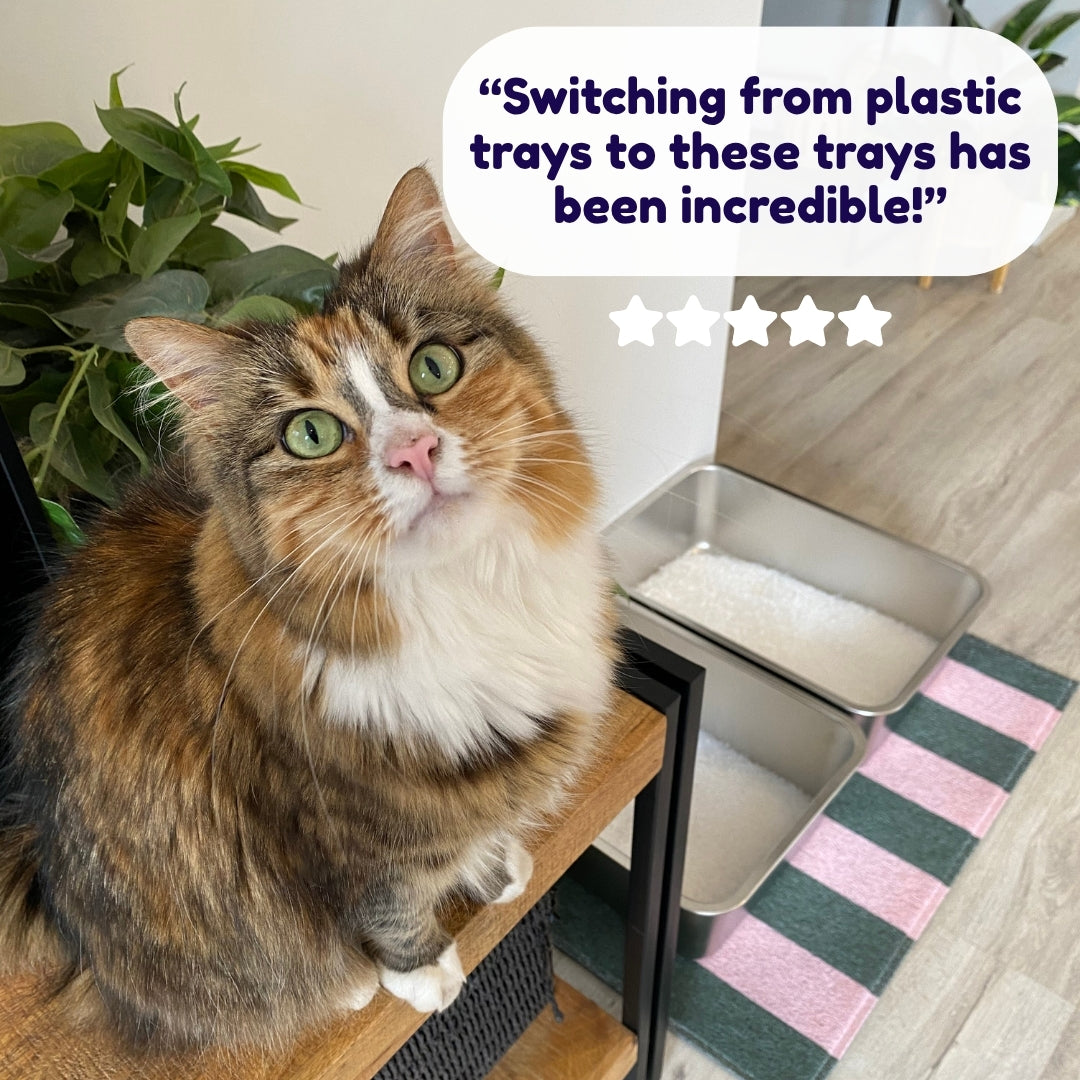 Cat sitting next to a Tabby Trays stainless steel cat litter tray with a speech bubble displaying a positive review.