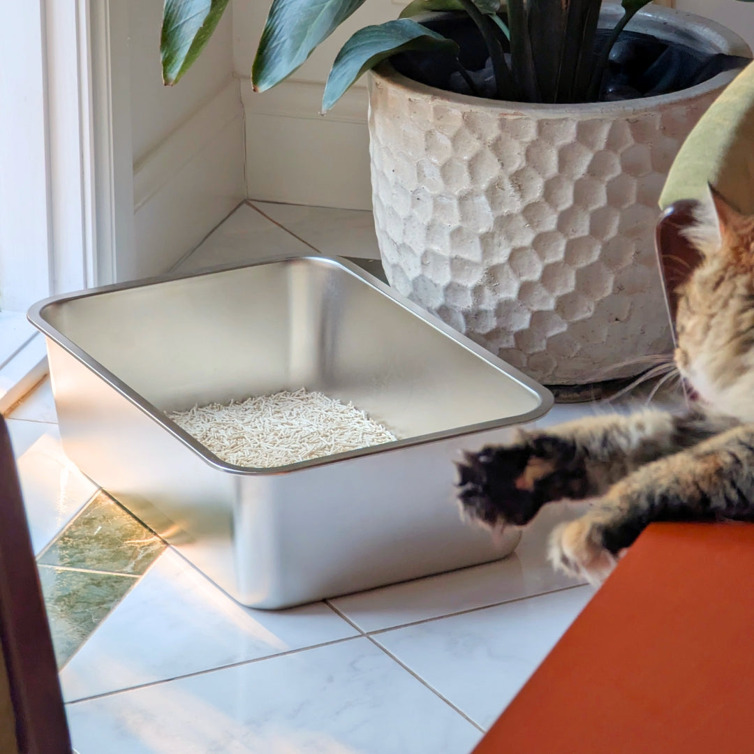 Stainless Steel Litter Tray - The Original