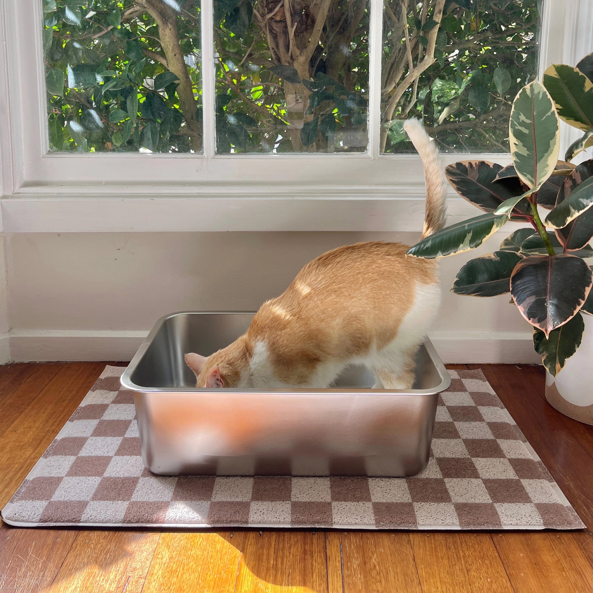Stainless Steel Litter Tray - The Original