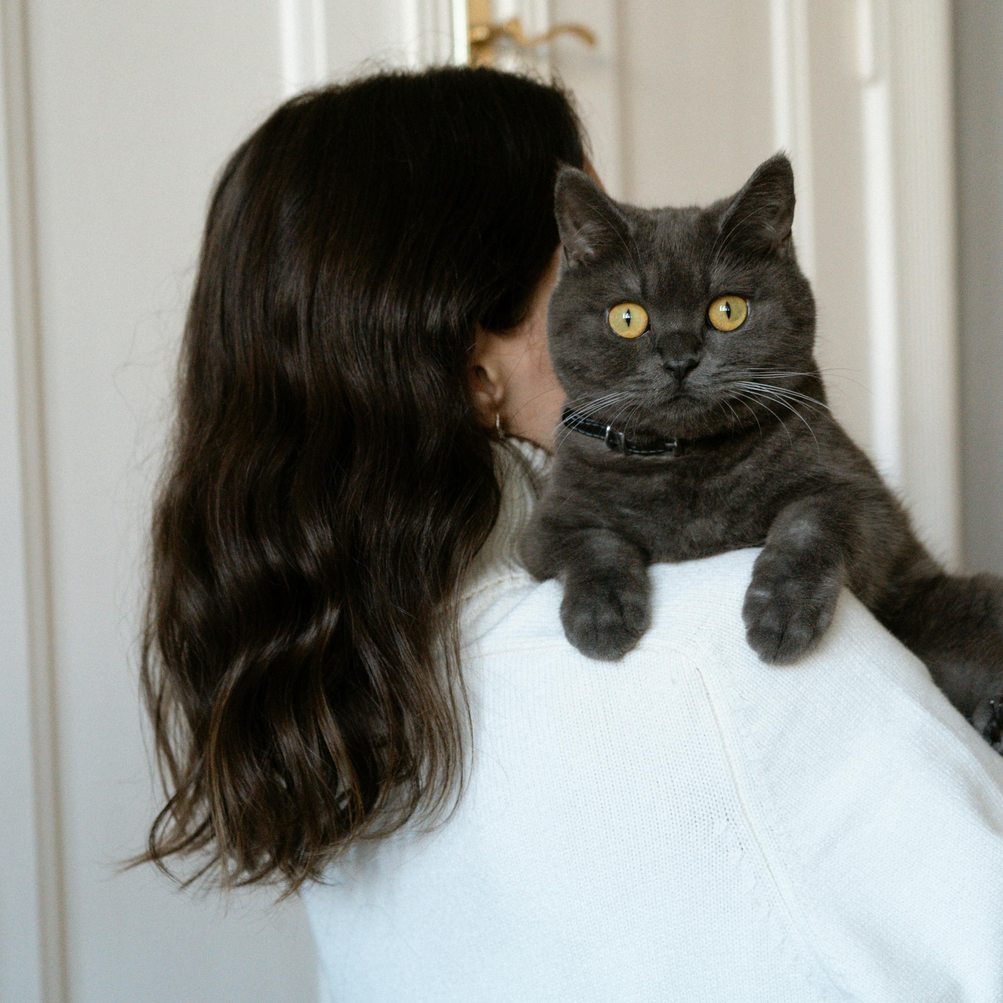 Why Is My Litter Box Still Smelly Even After Cleaning?