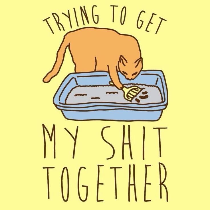 Tabby Trays - Instagram Image