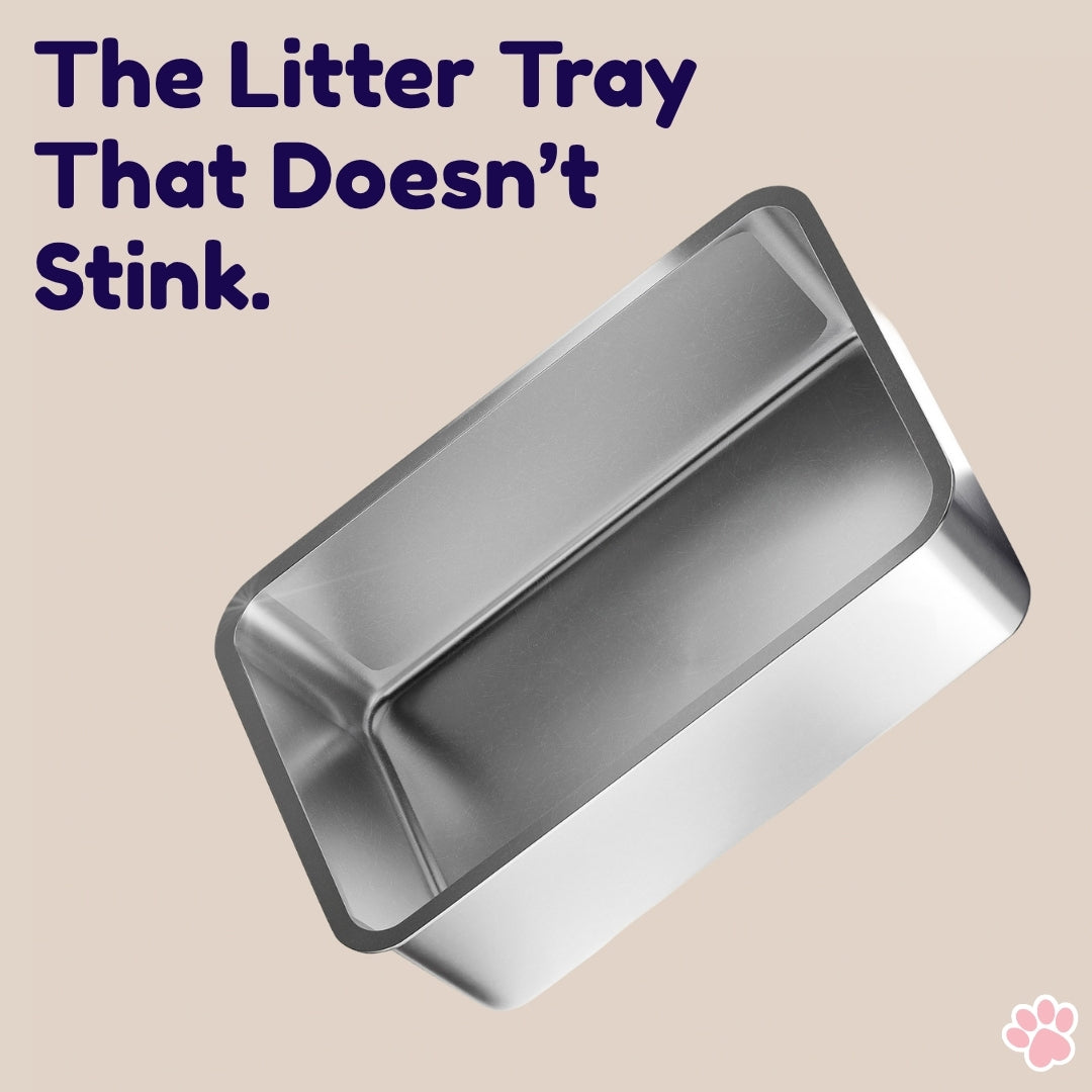 Stainless Steel Litter Tray